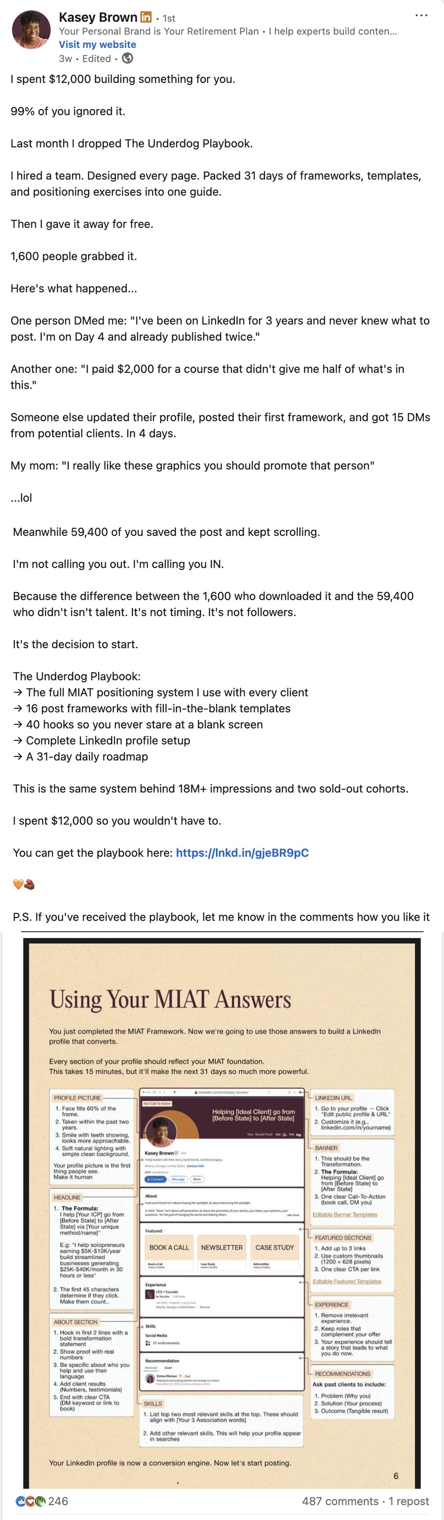 Kasey Brown LinkedIn post: I spent $12,000 building something for you, 1,600 people grabbed it for free, the Underdog Playbook